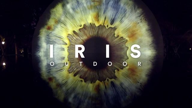 Iris - Outdoor