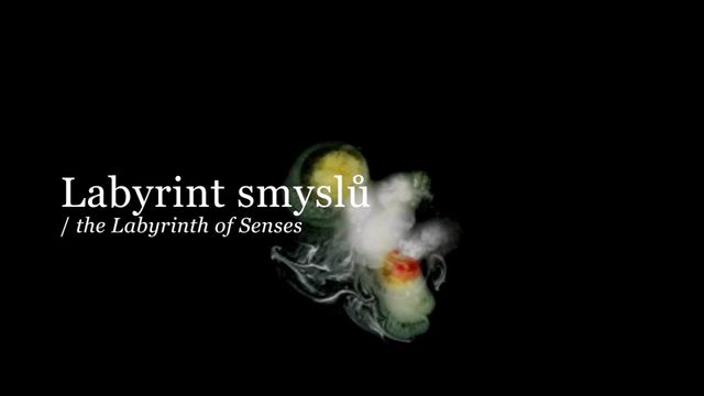 Labyrinth of Senses