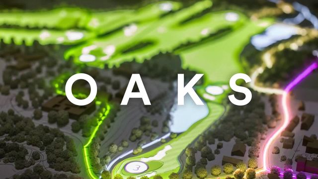 OAKS: Interactive projection